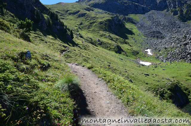 rifugio arbolle